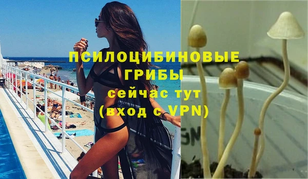 твердый Алзамай