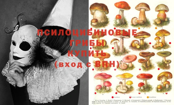 синтетический гашиш Ростов