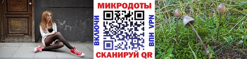 Псилоцибиновые грибы прущие грибы  наркотики  Карачаевск 
