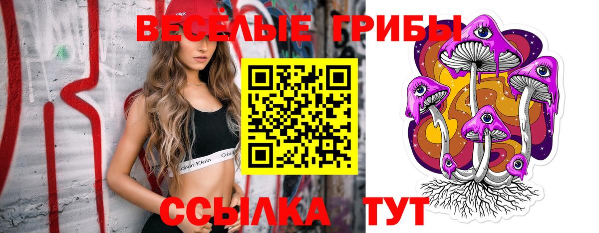 Галлюциногенные грибы Magic Shrooms Карачаевск