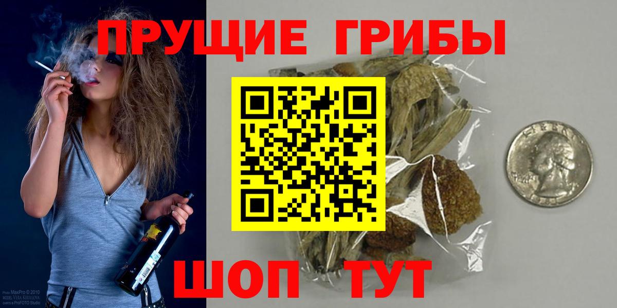 наркошоп  Вход с VPN  Псилоцибиновые грибы GOLDEN TEACHER  Карачаевск  Псилоцибиновые грибы прущие грибы 